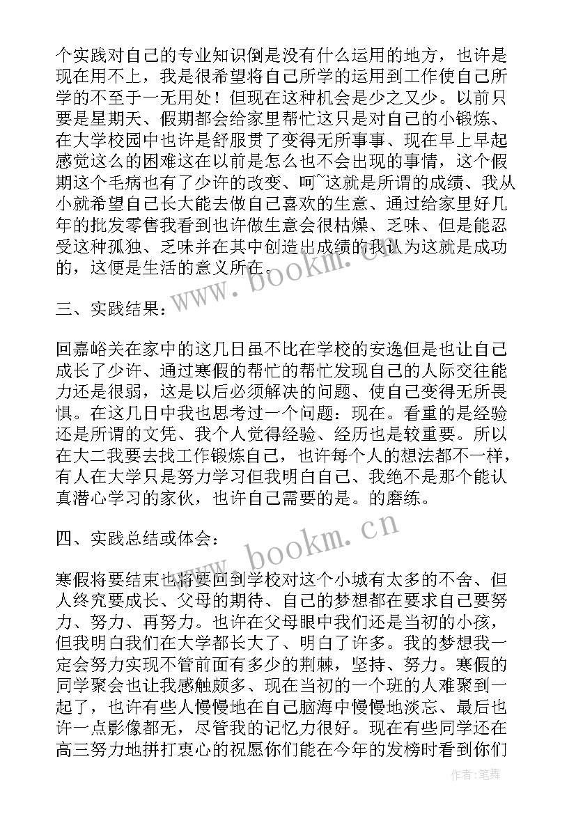 2023年个人实践报告总结 个人实践报告(模板5篇)