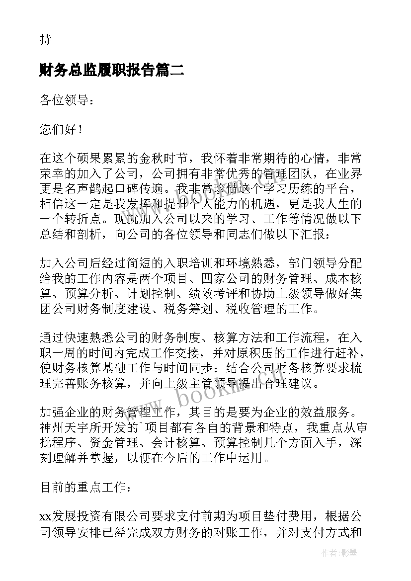 2023年财务总监履职报告 财务总监述职报告(实用7篇)