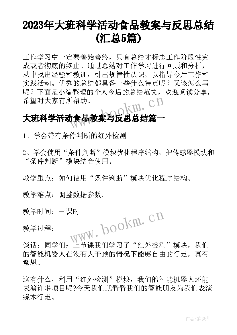 2023年大班科学活动食品教案与反思总结(汇总5篇)