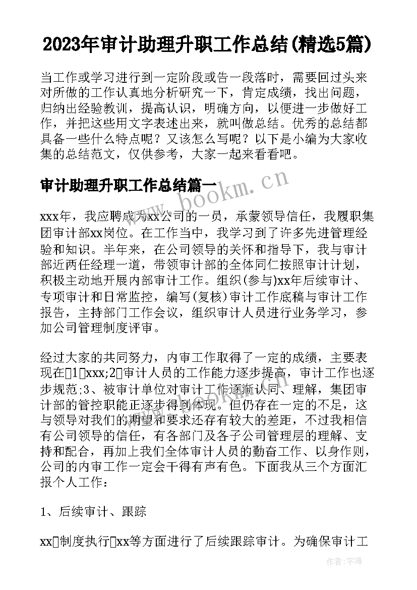 2023年审计助理升职工作总结(精选5篇)