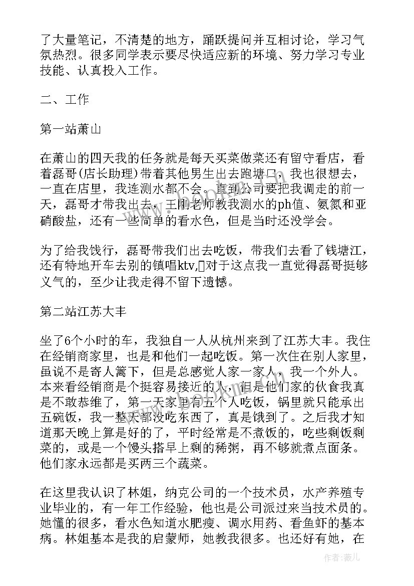 2023年专业实践报告及 环境专业实践报告(优秀7篇)