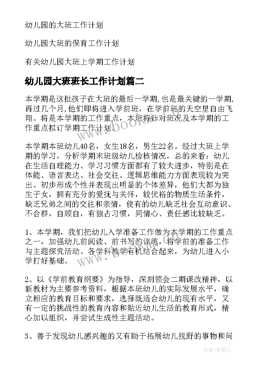 最新幼儿园大班班长工作计划 幼儿园大班工作计划(通用6篇)