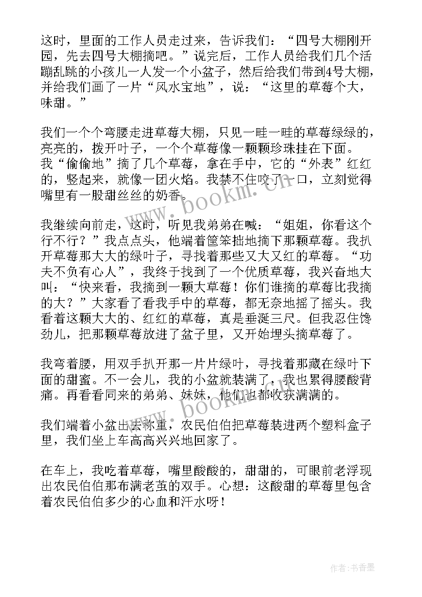 摘草莓的活动目的 草莓采摘工会活动总结(通用5篇)