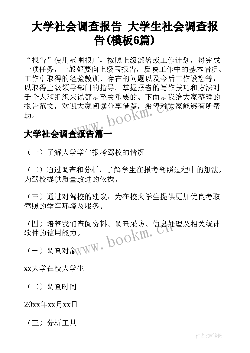 大学社会调查报告 大学生社会调查报告(模板6篇)