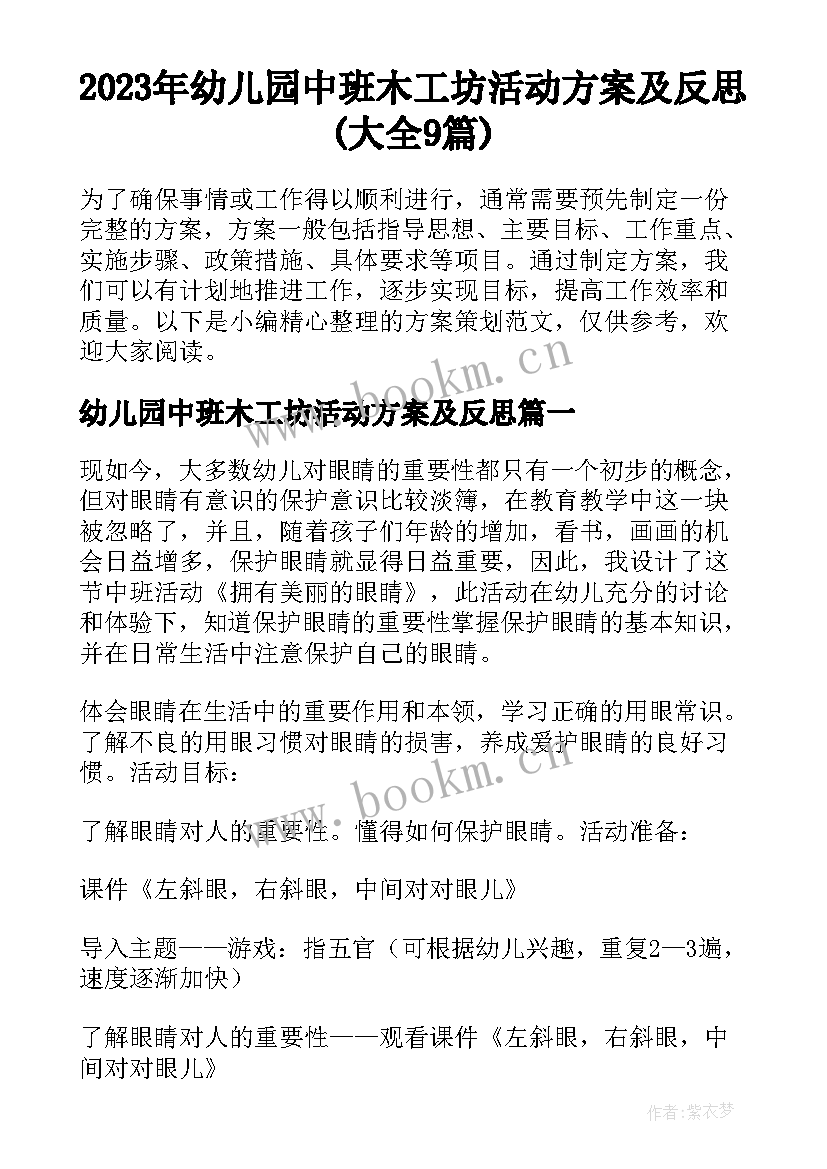 2023年幼儿园中班木工坊活动方案及反思(大全9篇)