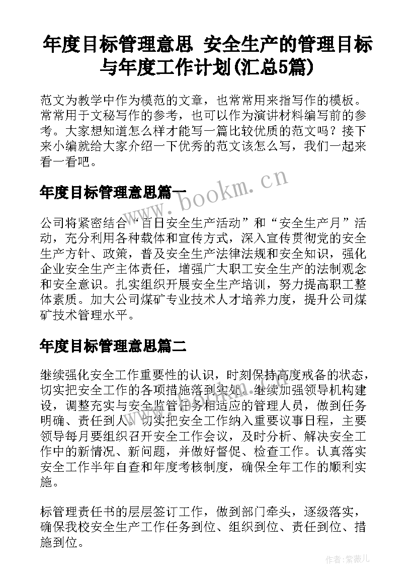 年度目标管理意思 安全生产的管理目标与年度工作计划(汇总5篇)