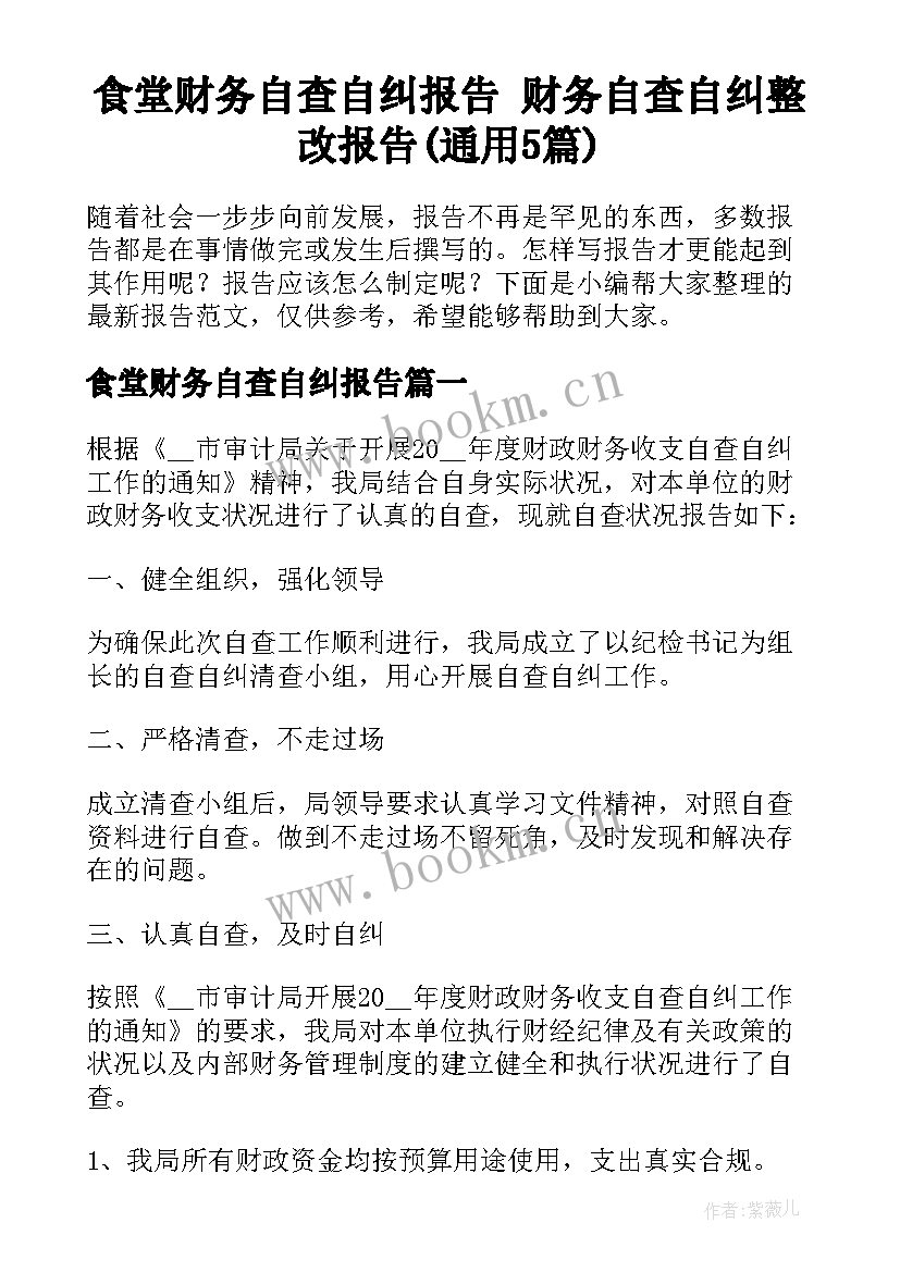 食堂财务自查自纠报告 财务自查自纠整改报告(通用5篇)