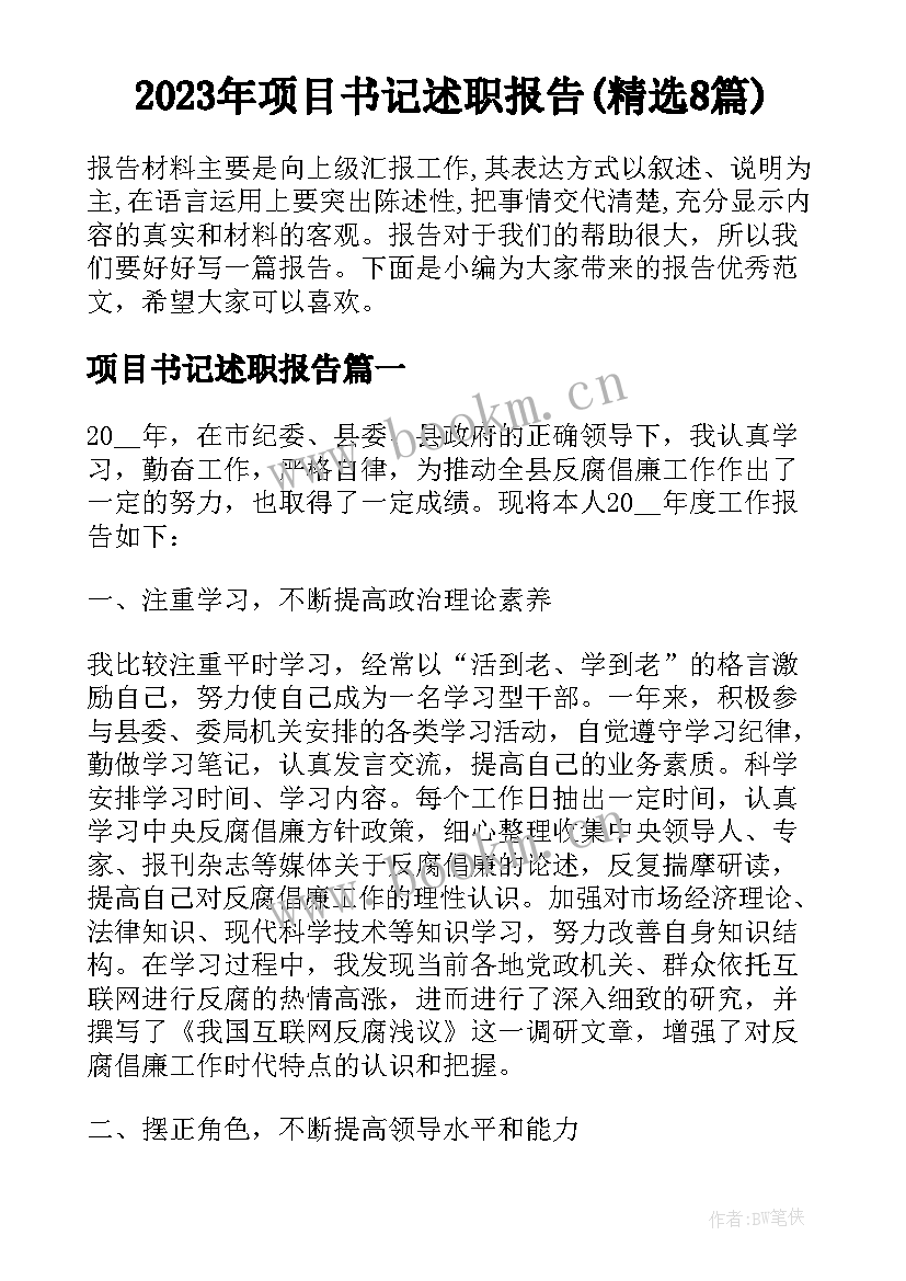 2023年项目书记述职报告(精选8篇)