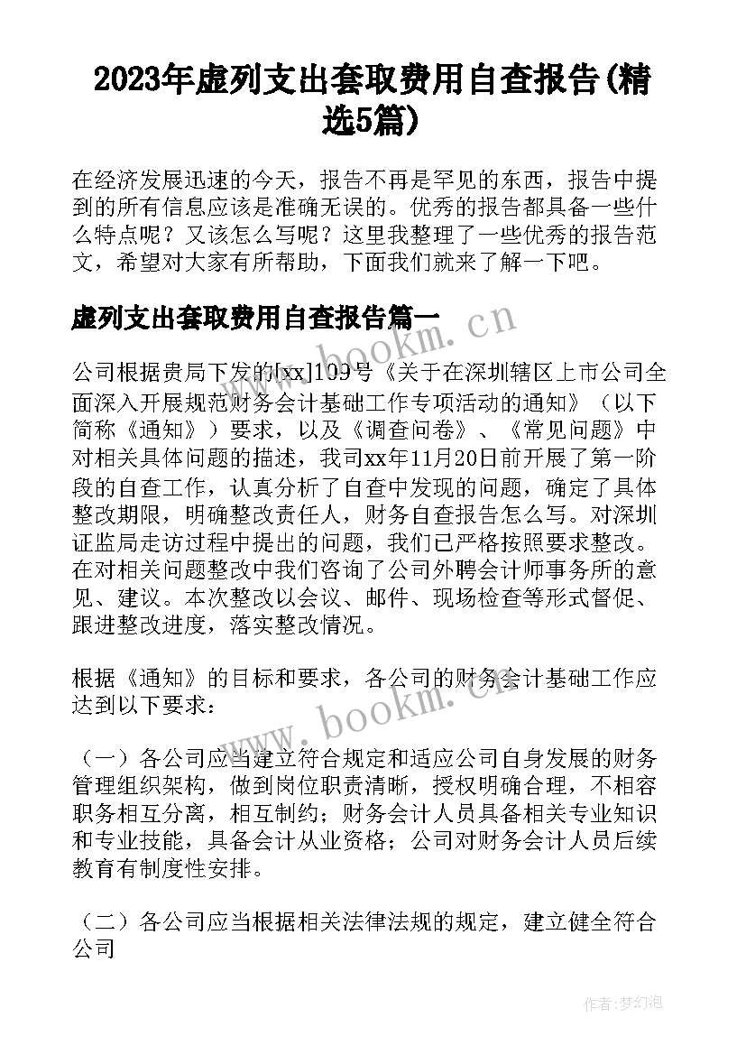 2023年虚列支出套取费用自查报告(精选5篇)