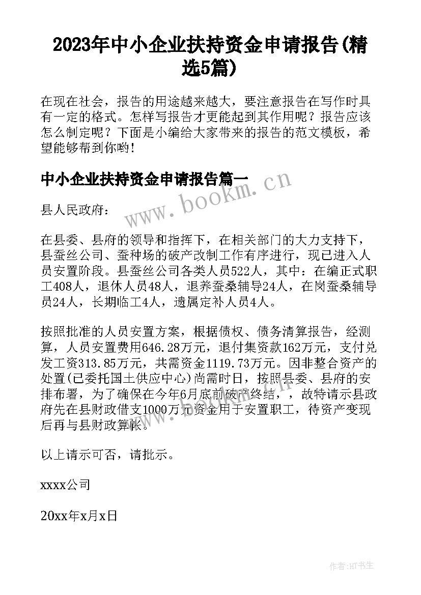 2023年中小企业扶持资金申请报告(精选5篇)