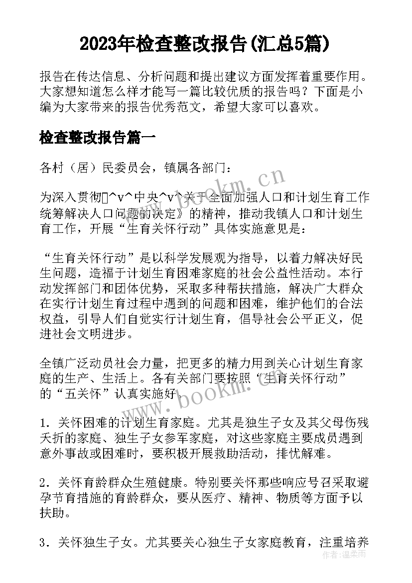 2023年检查整改报告(汇总5篇)