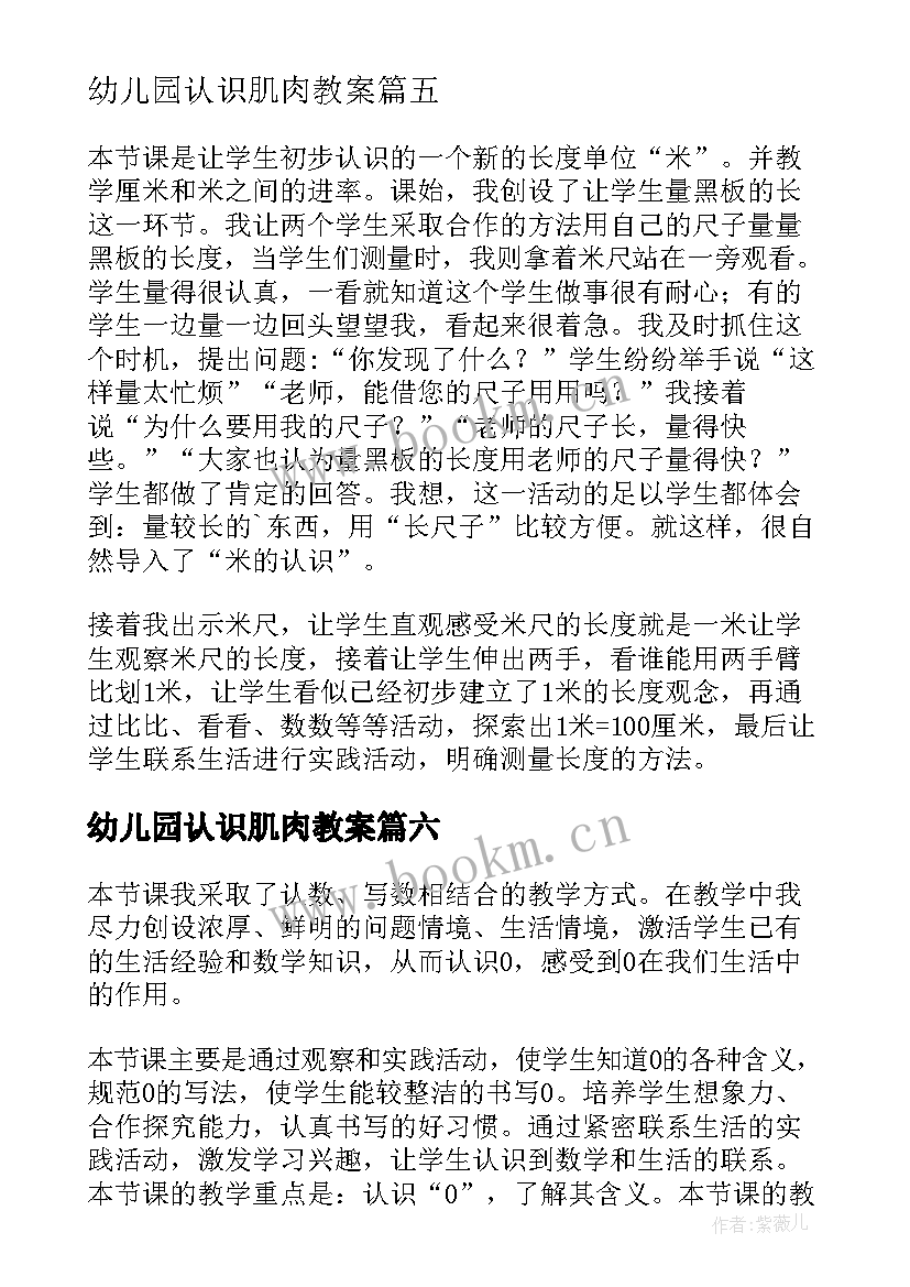 2023年幼儿园认识肌肉教案(优质7篇)