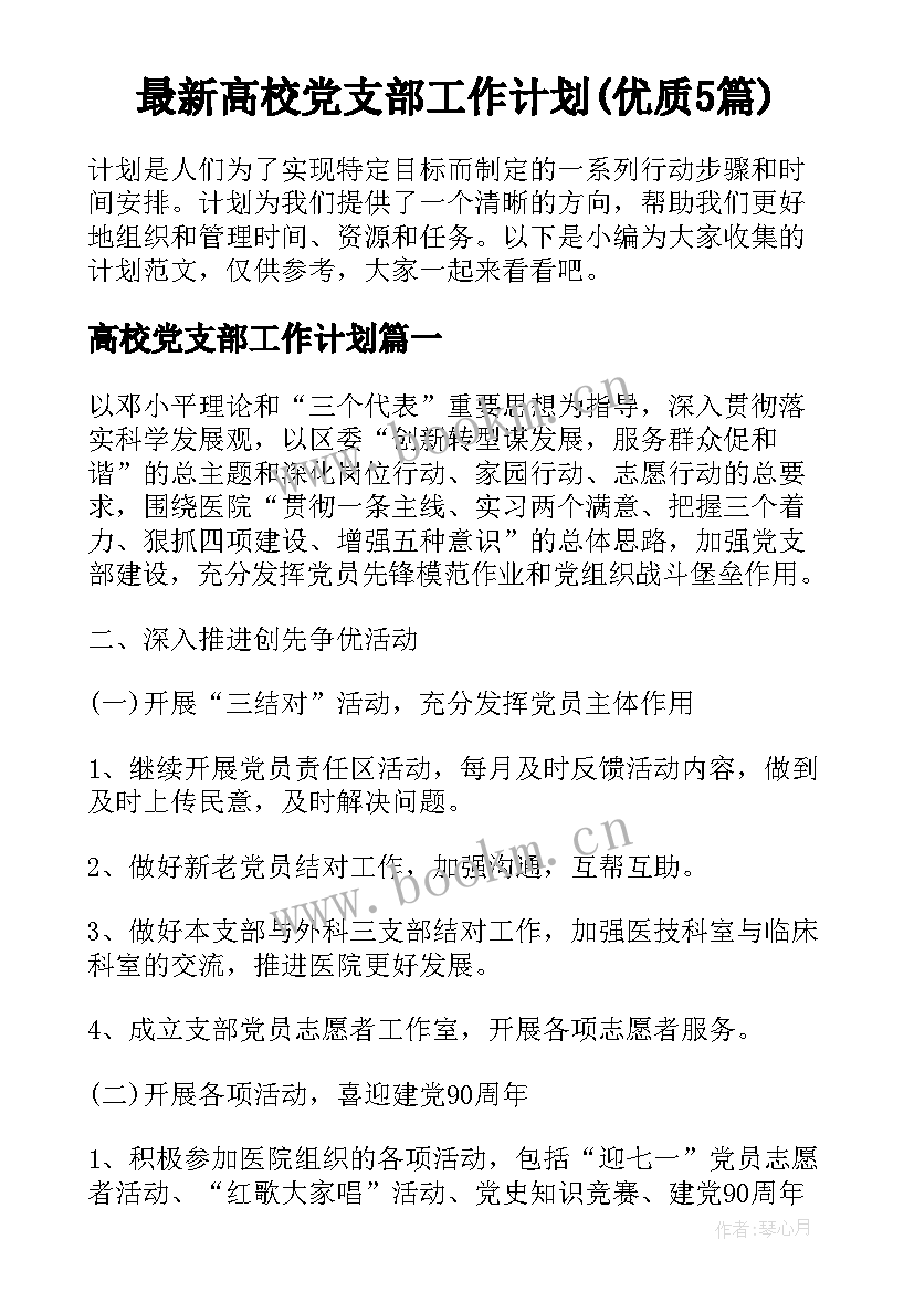 最新高校党支部工作计划(优质5篇)