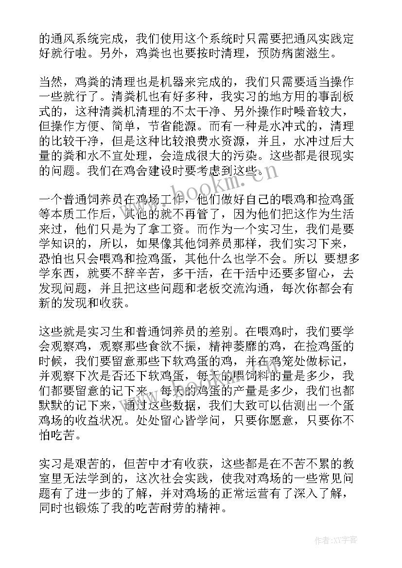 最新会计社会实践报告 暑期社会实践总结报告(大全7篇)