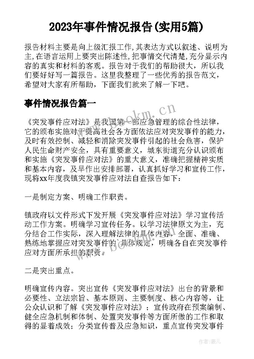 2023年事件情况报告(实用5篇)