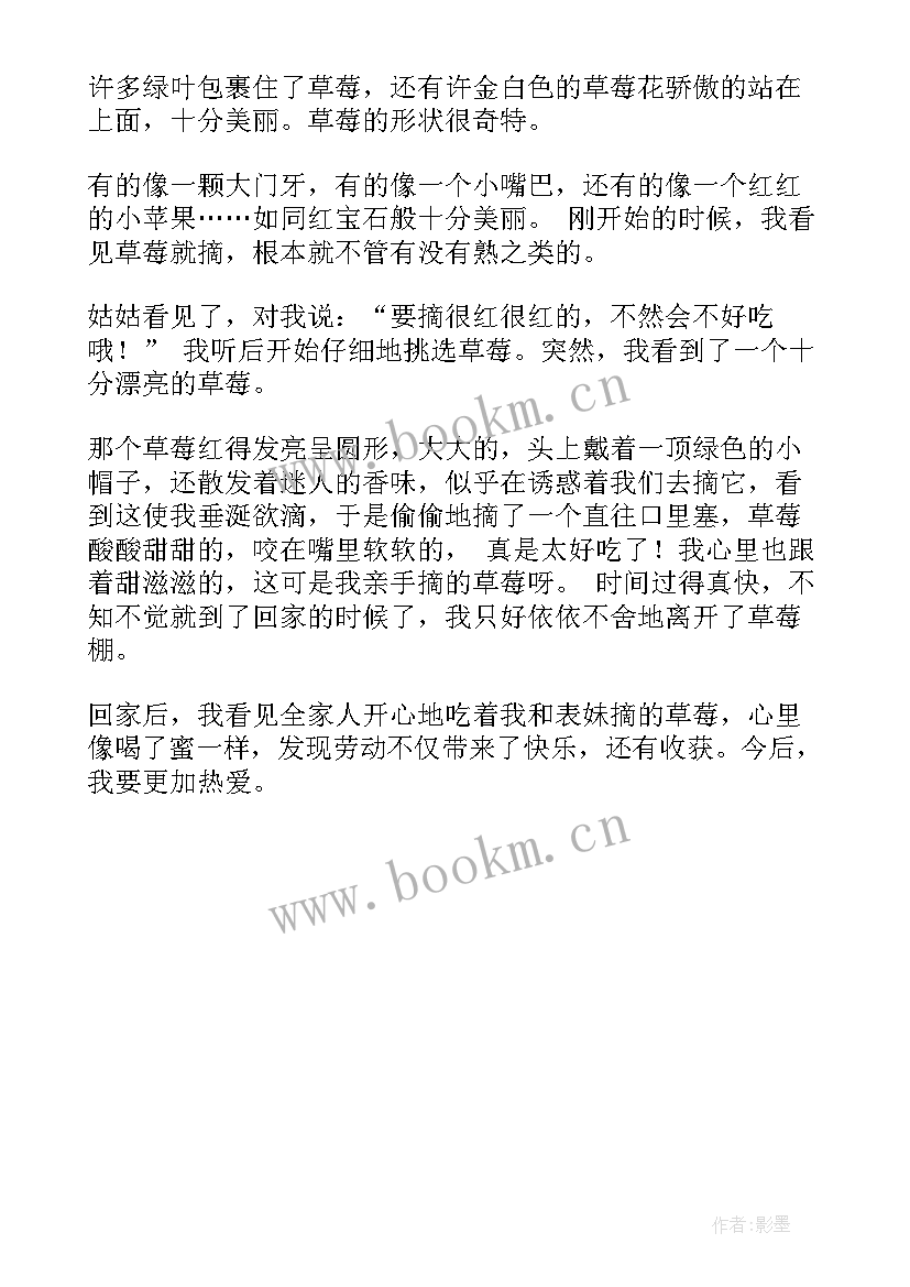 工会活动摘草莓总结 草莓采摘工会活动总结(通用5篇)