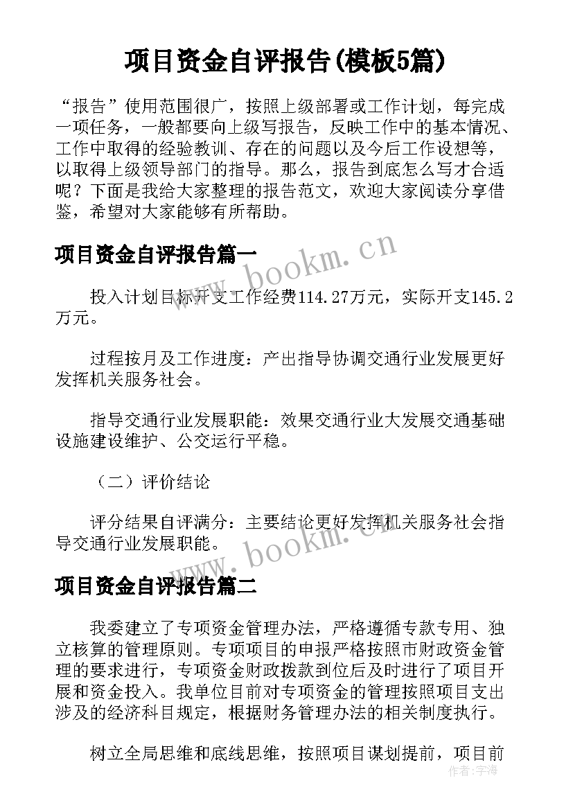 项目资金自评报告(模板5篇)