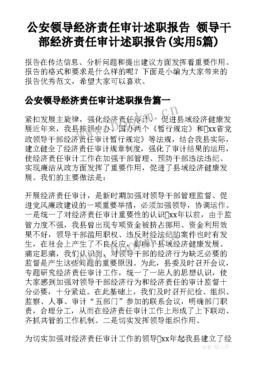 公安领导经济责任审计述职报告 领导干部经济责任审计述职报告(实用5篇)