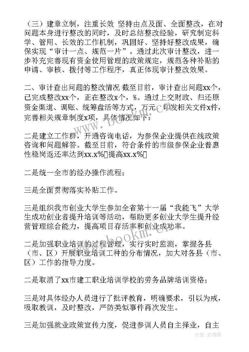 2023年审计问题自查整改报告(通用10篇)