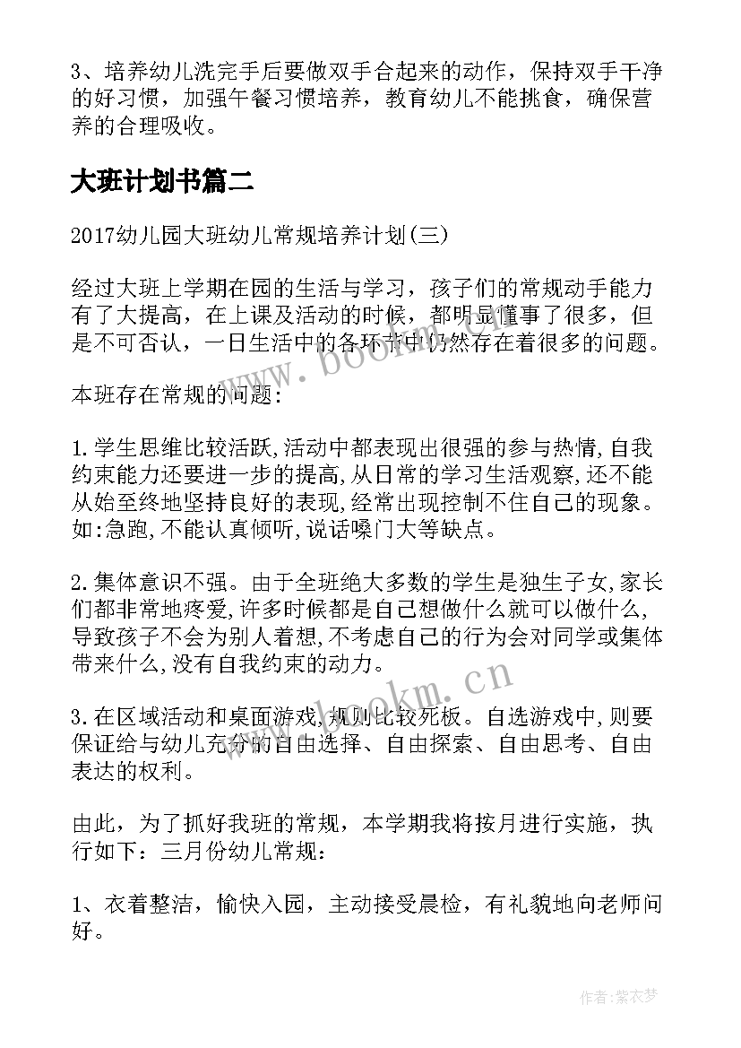 大班计划书(实用7篇)