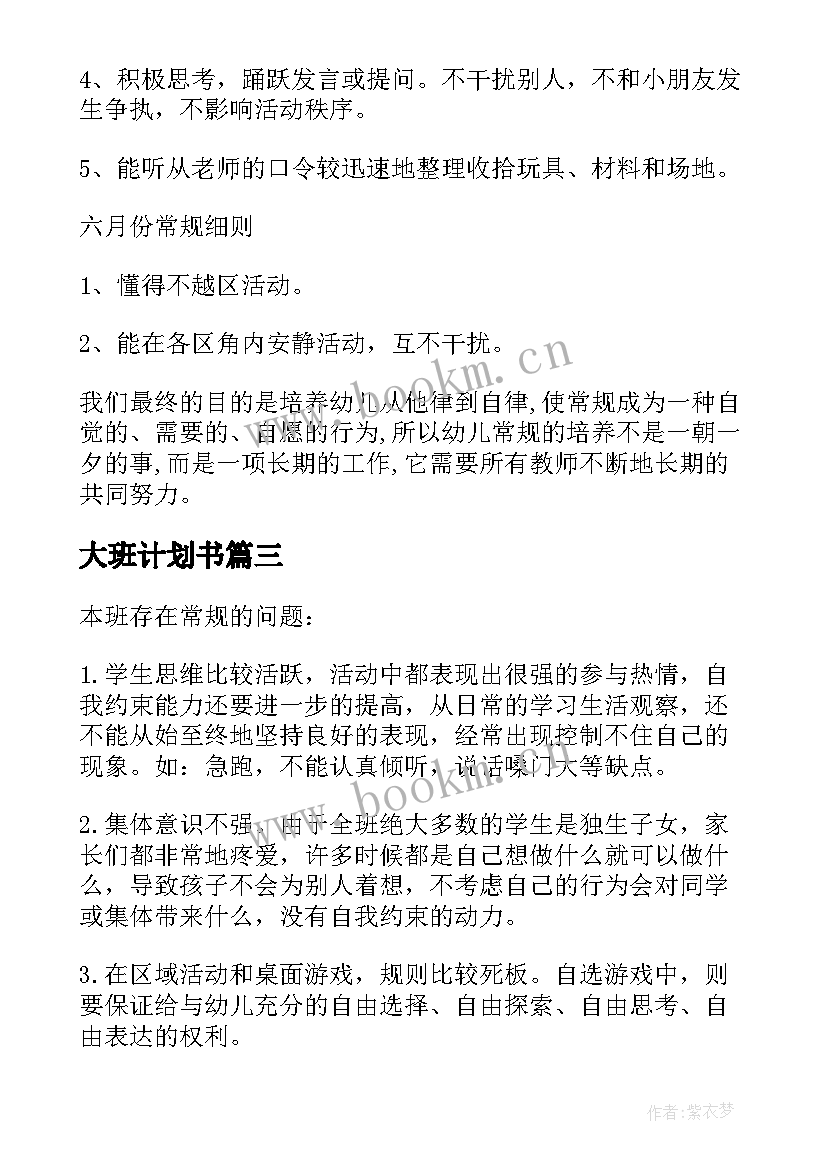 大班计划书(实用7篇)