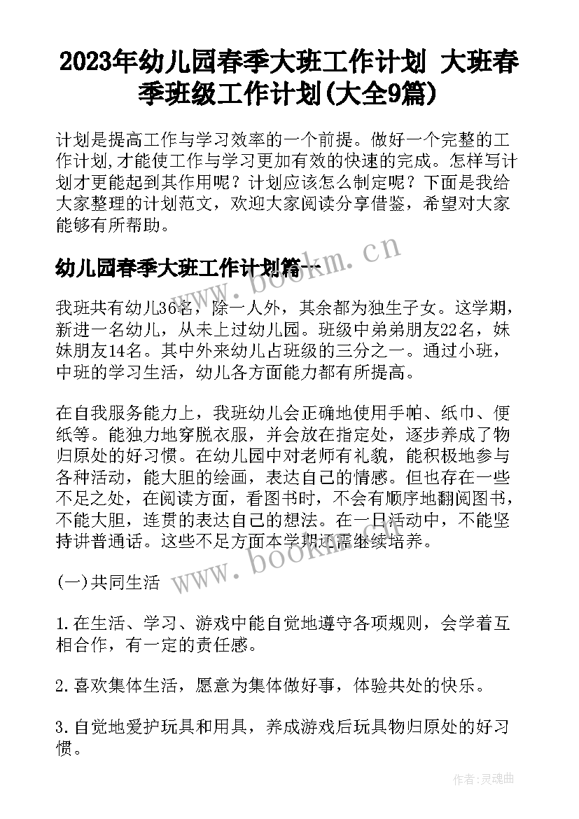 2023年幼儿园春季大班工作计划 大班春季班级工作计划(大全9篇)