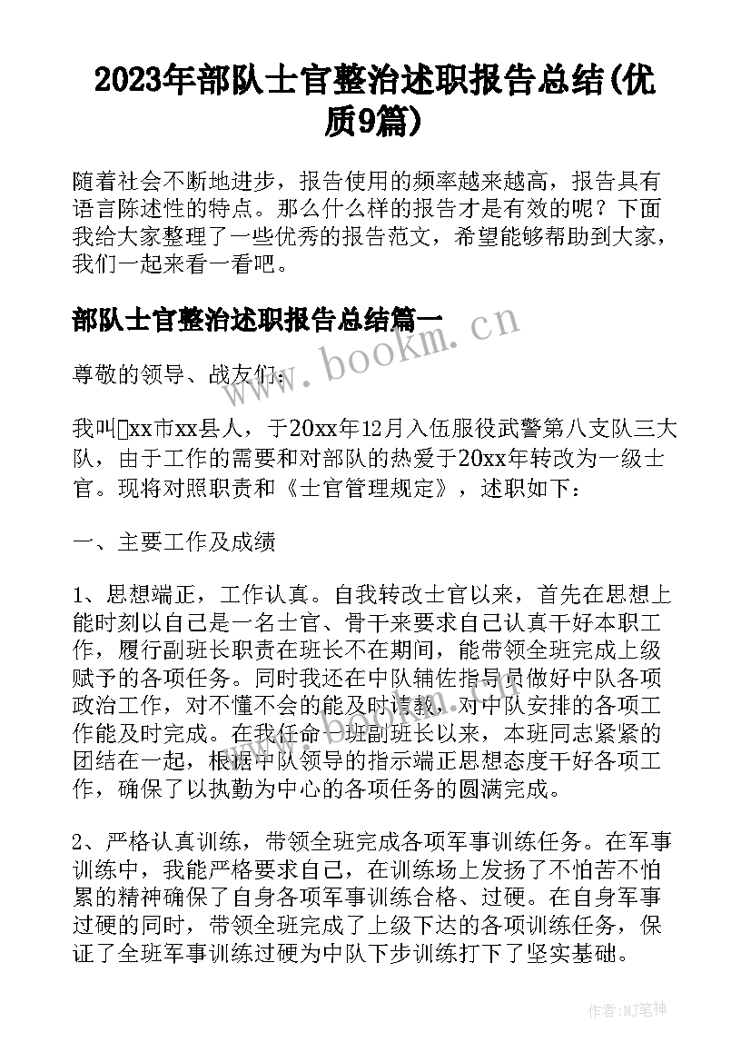 2023年部队士官整治述职报告总结(优质9篇)