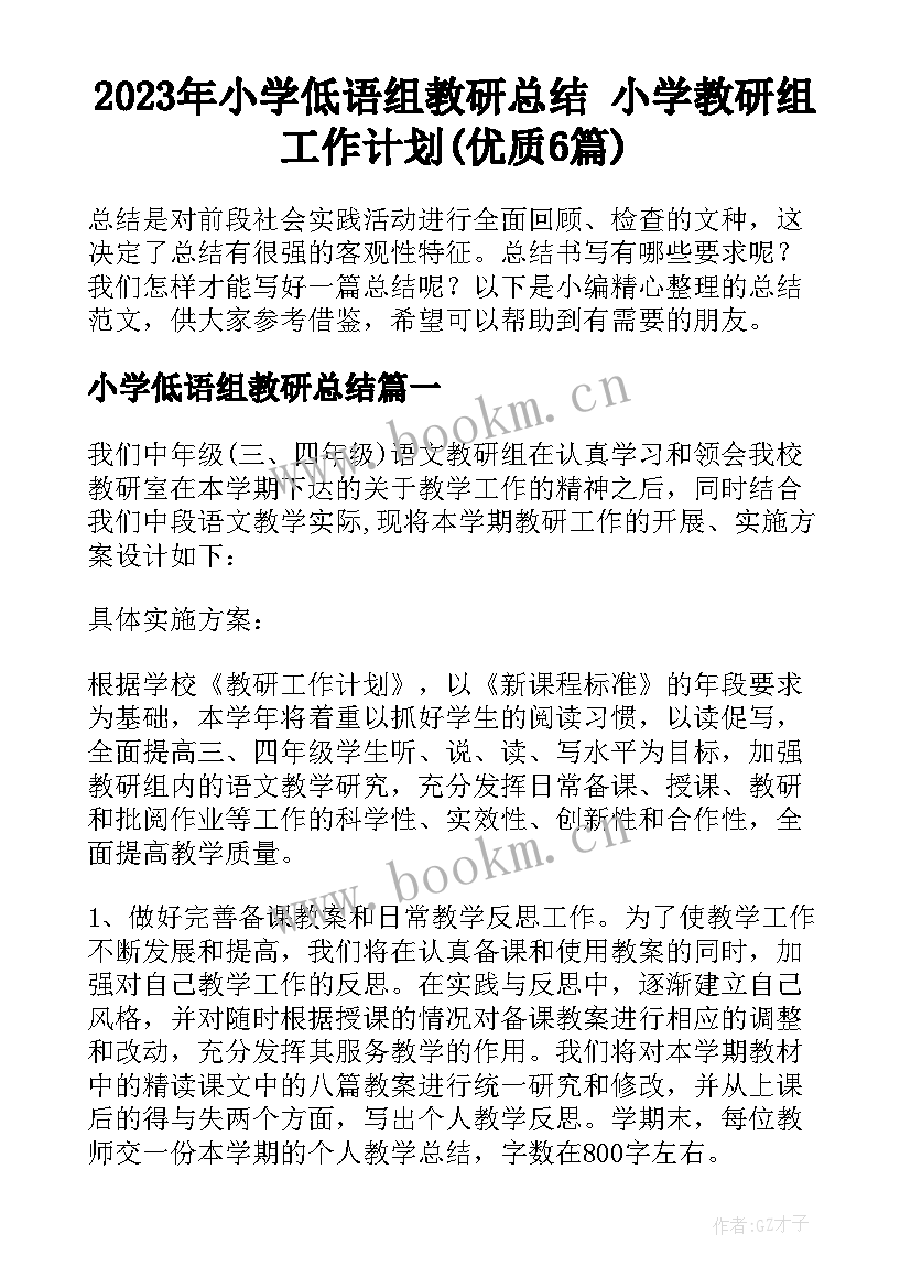 2023年小学低语组教研总结 小学教研组工作计划(优质6篇)