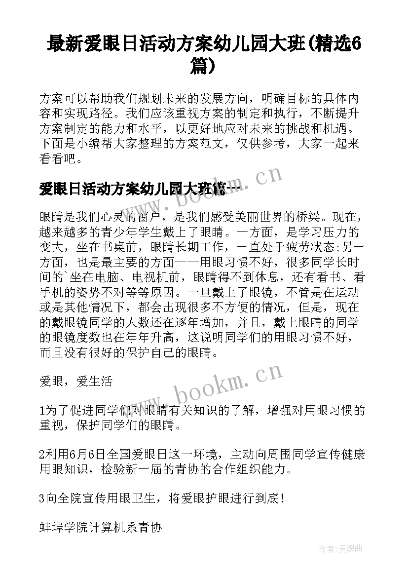 最新爱眼日活动方案幼儿园大班(精选6篇)