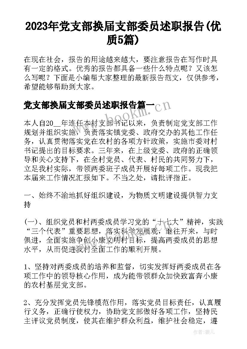 2023年党支部换届支部委员述职报告(优质5篇)