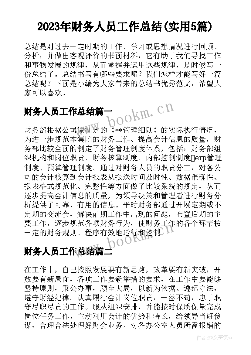 2023年财务人员工作总结(实用5篇)