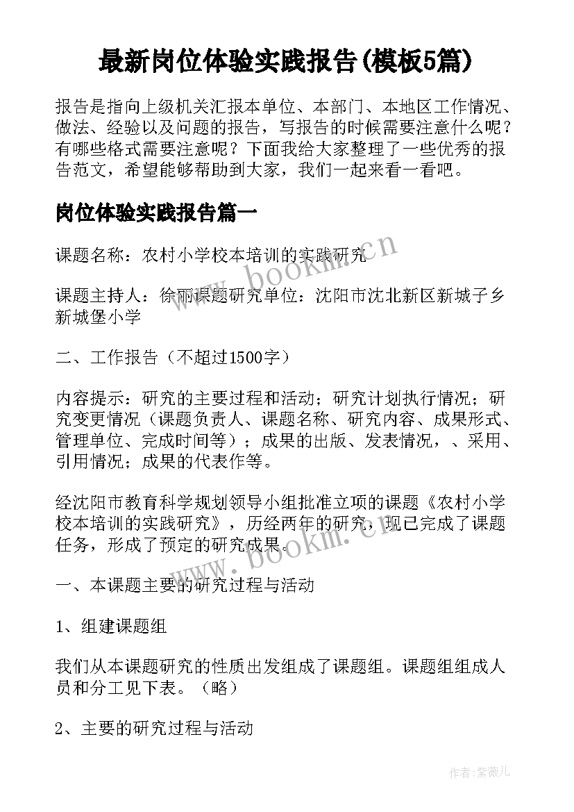 最新岗位体验实践报告(模板5篇)