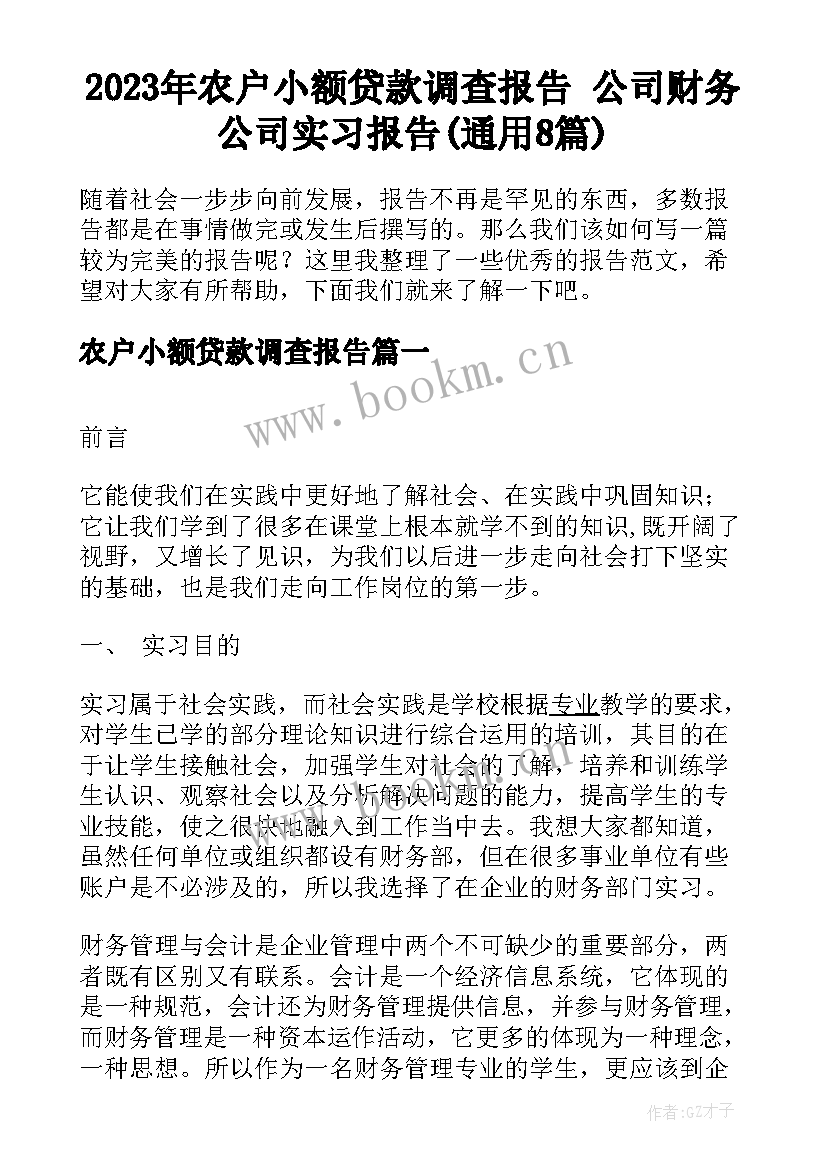 2023年农户小额贷款调查报告 公司财务公司实习报告(通用8篇)