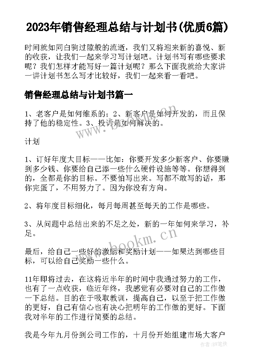 2023年销售经理总结与计划书(优质6篇)