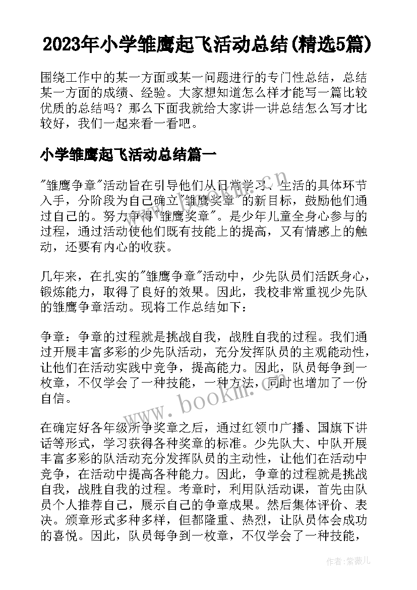 2023年小学雏鹰起飞活动总结(精选5篇)