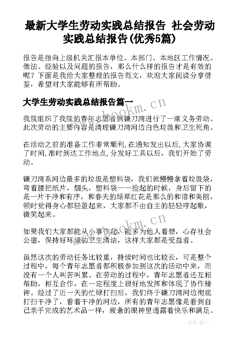 最新大学生劳动实践总结报告 社会劳动实践总结报告(优秀5篇)