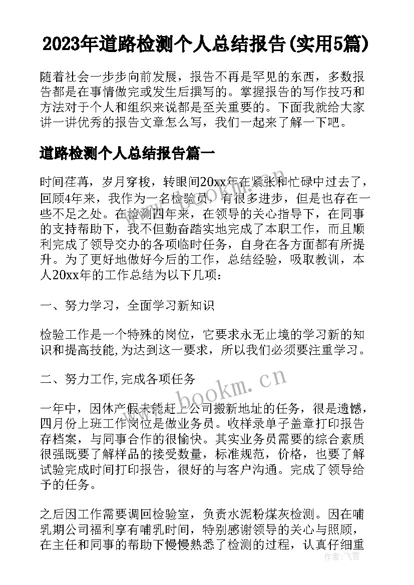 2023年道路检测个人总结报告(实用5篇)