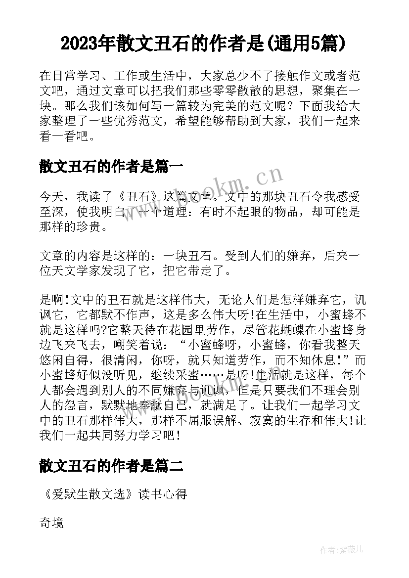 2023年散文丑石的作者是(通用5篇)