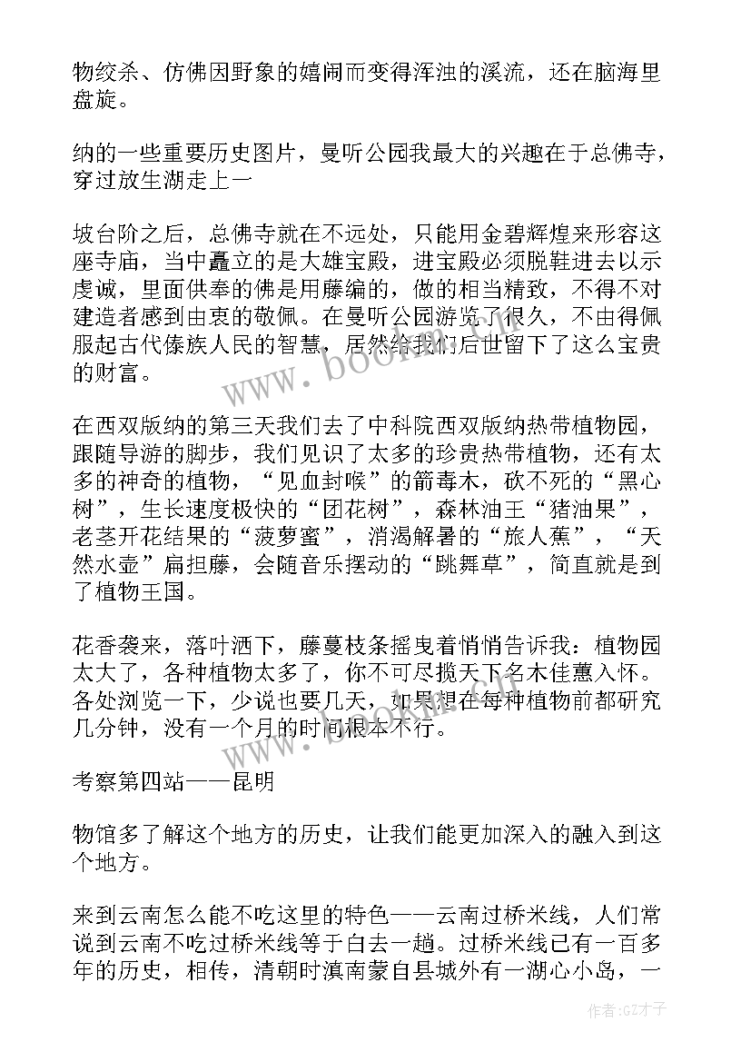 最新艺术考察报告 长沙艺术考察心得体会(优秀9篇)