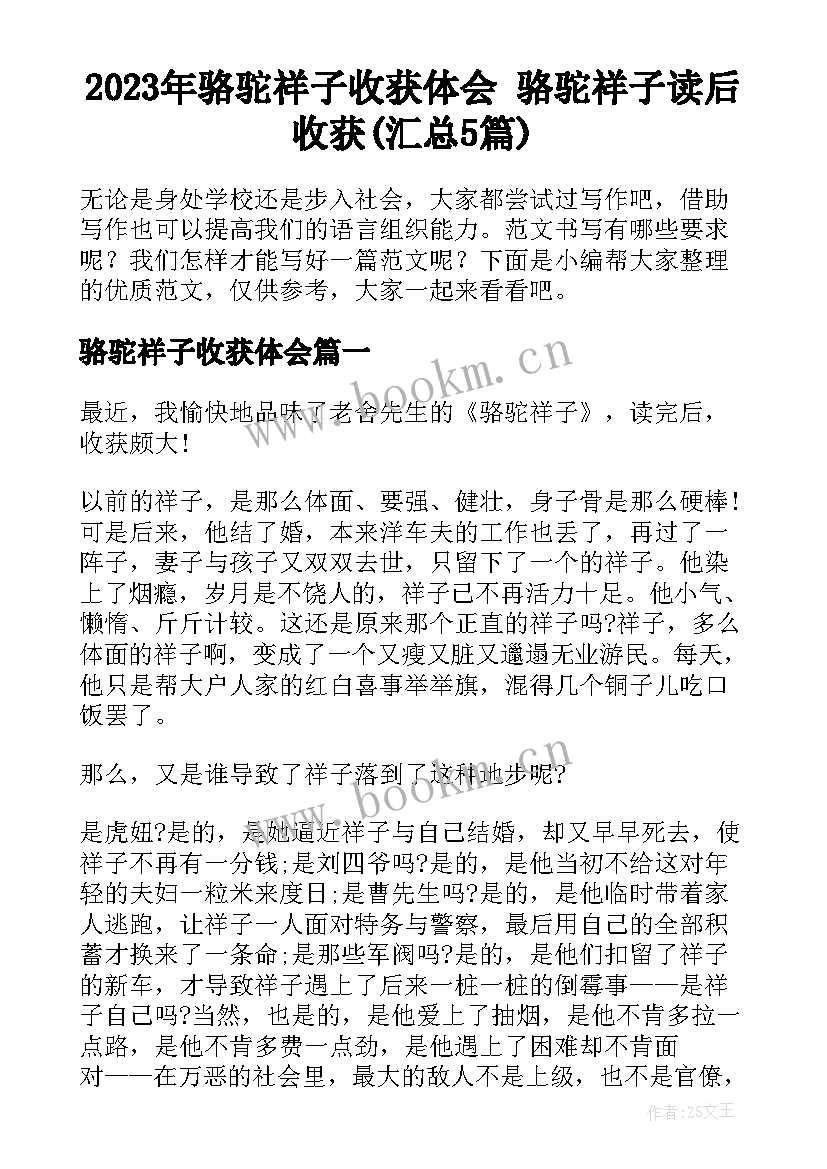 2023年骆驼祥子收获体会 骆驼祥子读后收获(汇总5篇)