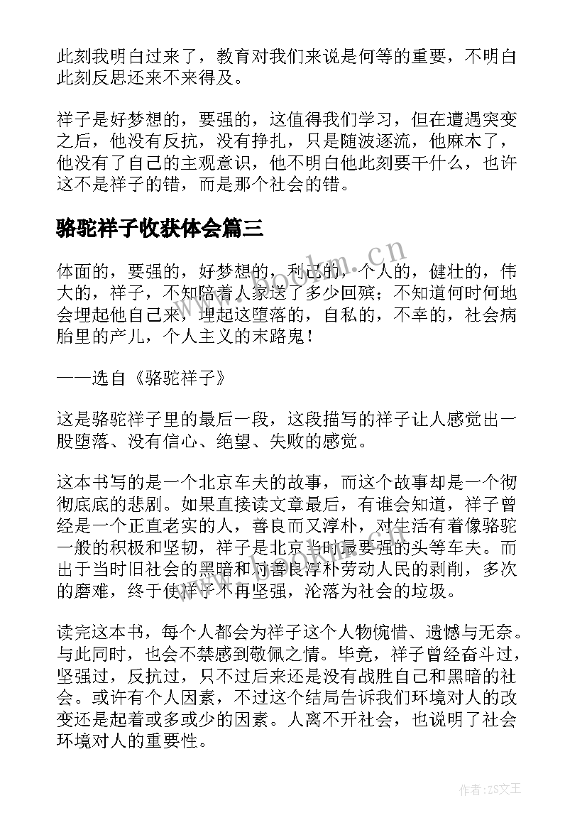 2023年骆驼祥子收获体会 骆驼祥子读后收获(汇总5篇)