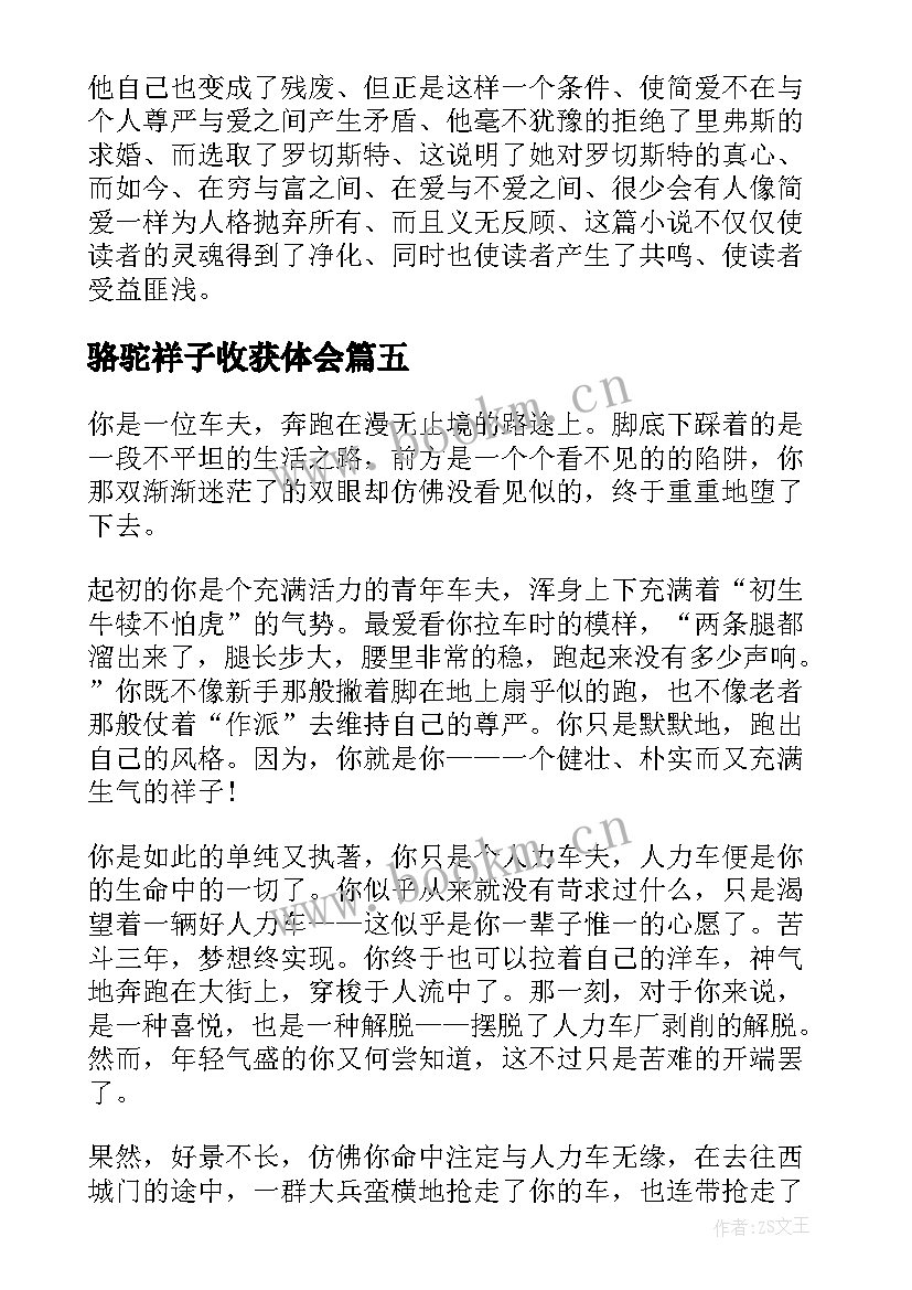 2023年骆驼祥子收获体会 骆驼祥子读后收获(汇总5篇)