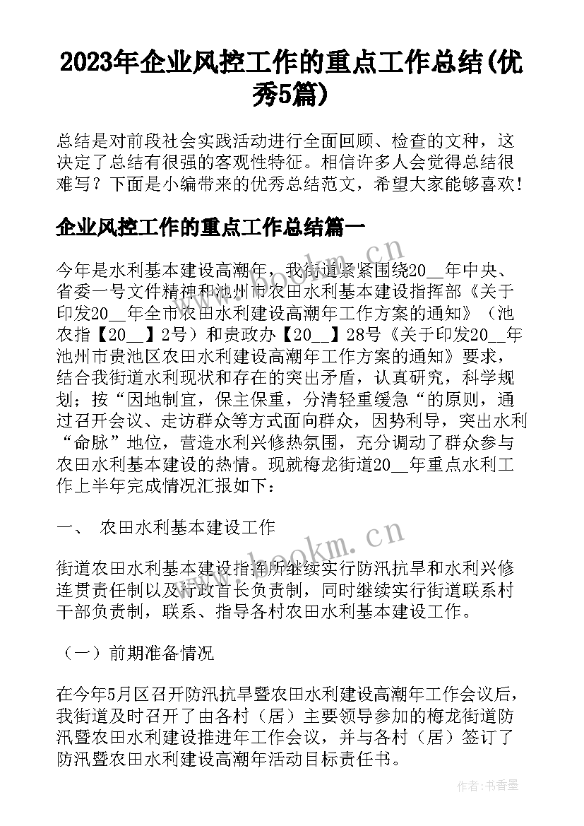 2023年企业风控工作的重点工作总结(优秀5篇)