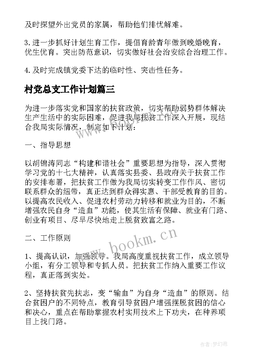 最新村党总支工作计划(大全6篇)