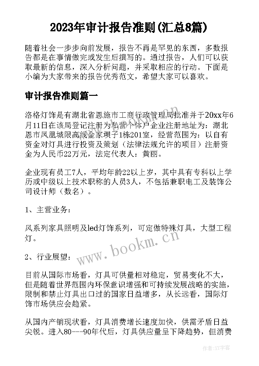 2023年审计报告准则(汇总8篇)