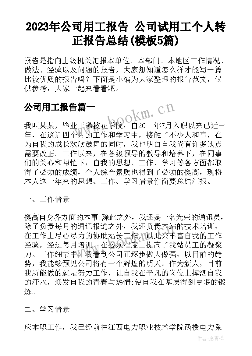 2023年公司用工报告 公司试用工个人转正报告总结(模板5篇)