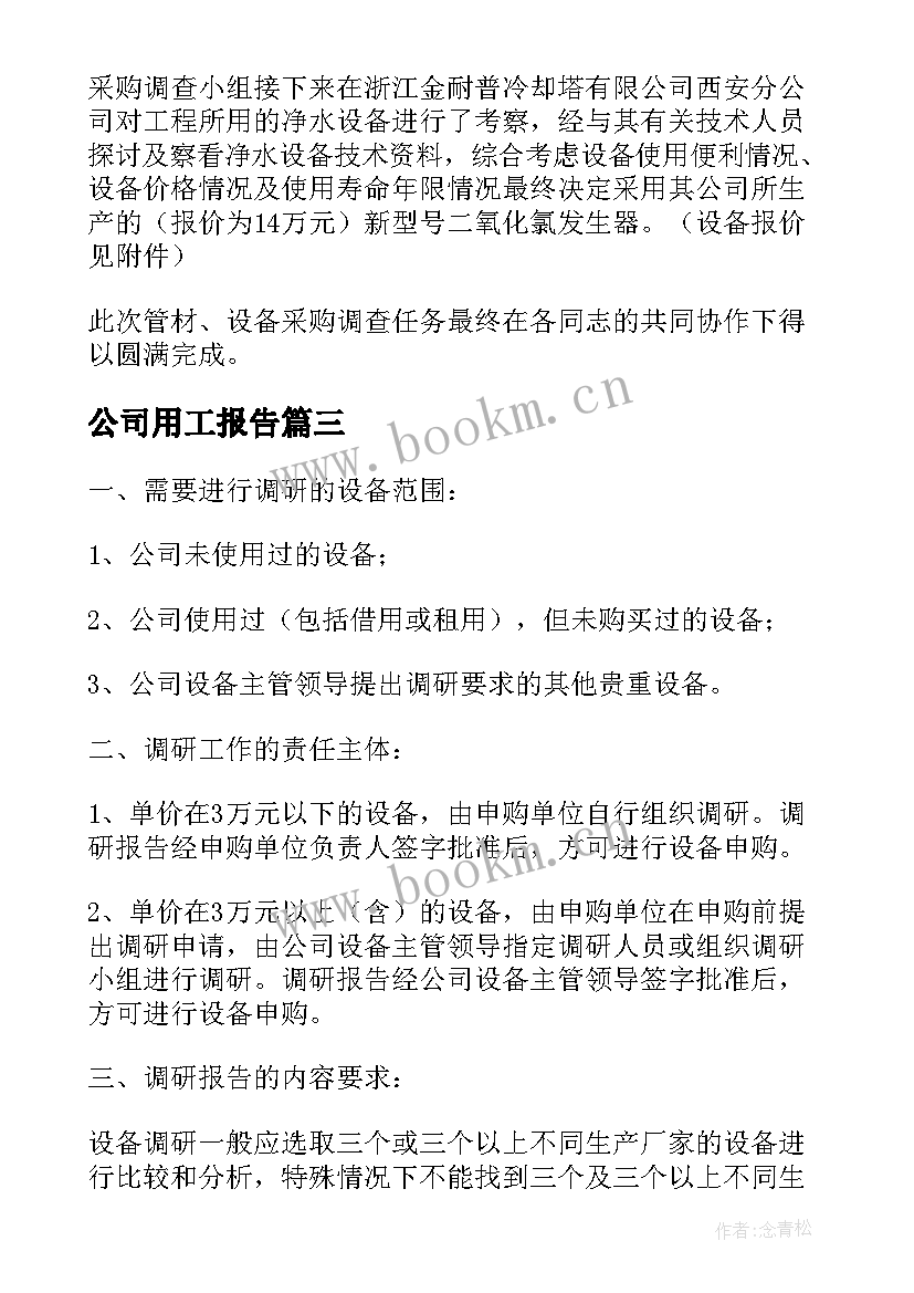 2023年公司用工报告 公司试用工个人转正报告总结(模板5篇)