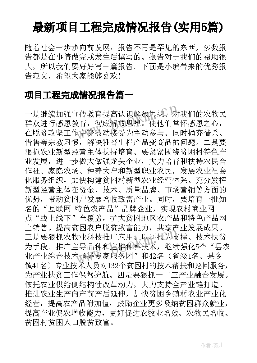 最新项目工程完成情况报告(实用5篇)