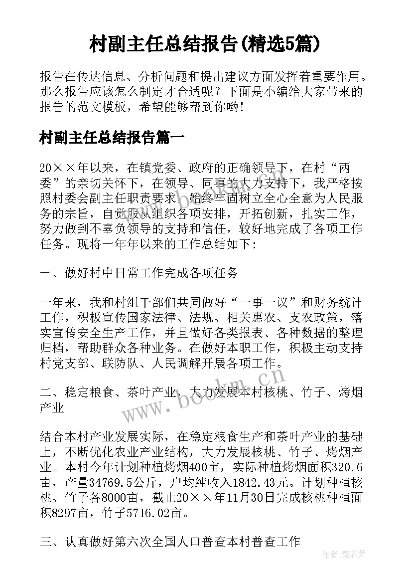 村副主任总结报告(精选5篇)