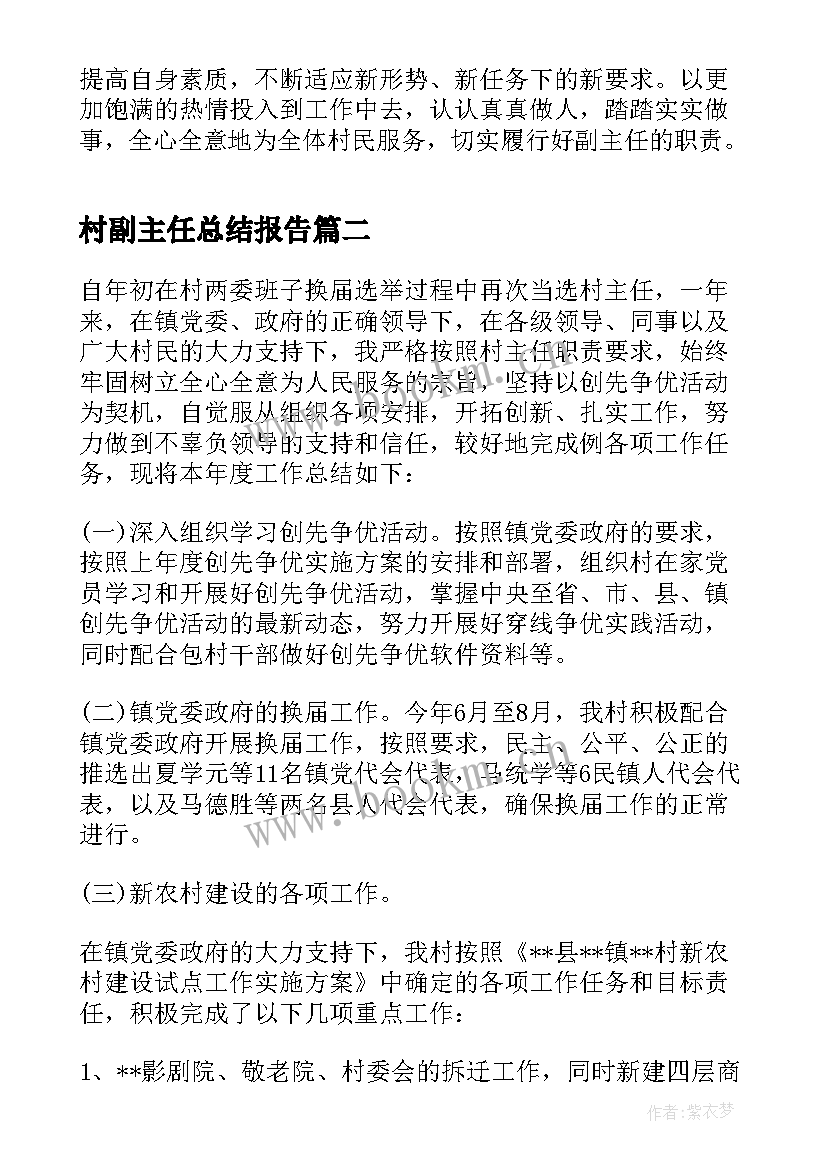 村副主任总结报告(精选5篇)